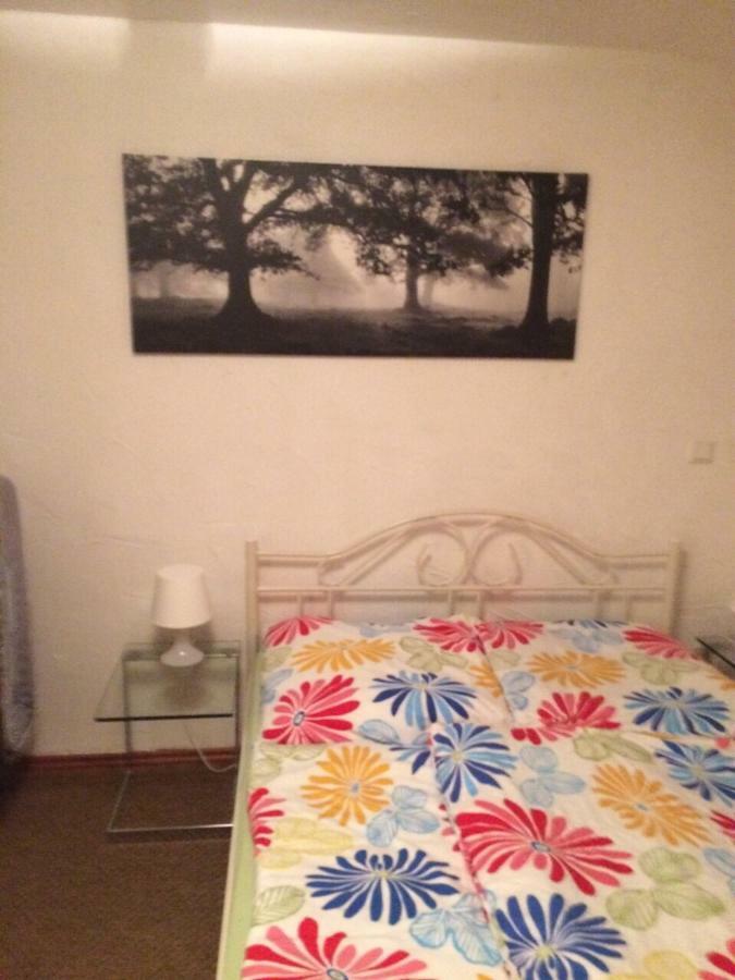 Wohnung Nur Fuer Monteure Und Handwerker Bad Krozingen Εξωτερικό φωτογραφία
